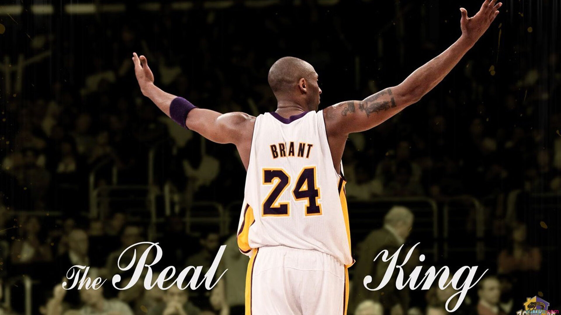 mk体育-拉恩：在全黑队反击战术中，他的速度和爆发力为队友提供巨大支持